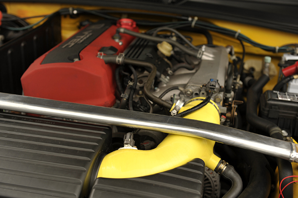 110503 kiiro DSC_7687.jpg